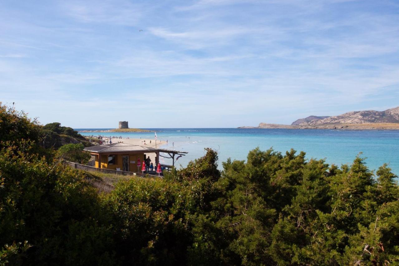 Panorama Sul Mare Villa Stintino Luaran gambar