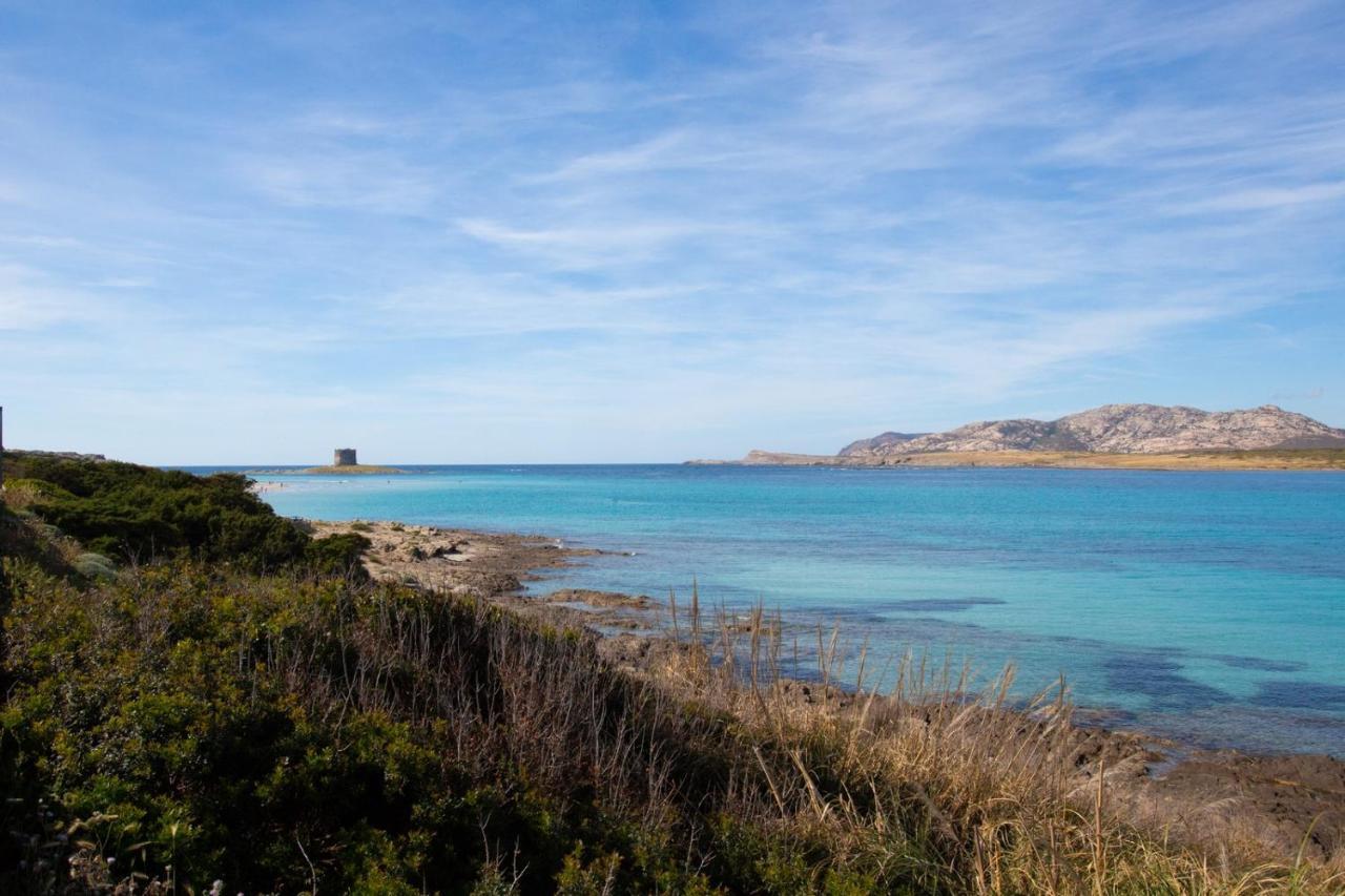 Panorama Sul Mare Villa Stintino Luaran gambar